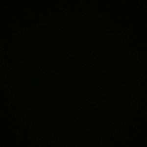 Meet your Posher, Torro